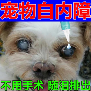 狗狗白内障滴眼液宠物猫咪专用眼药水老年犬抑初期角膜炎日本千寿