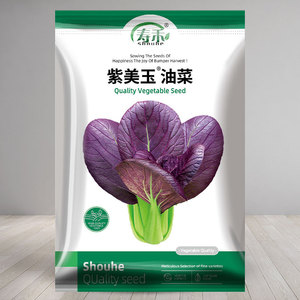 紫油菜种子紫小白菜种籽红油菜籽种青梗菜疏种籽四季冬季孑紫罗兰