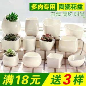 多肉花盆白色陶瓷盆简约长方形肉肉植物小花盆白瓷创意绿植花盆器