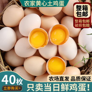 农家柴鸡蛋正宗散养笨鸡蛋新鲜土鸡蛋原生态蛋新鲜50枚草鸡蛋包邮