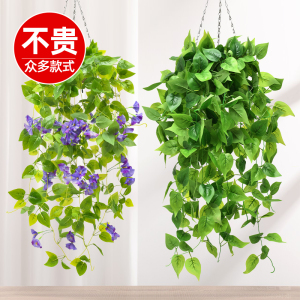 仿真植物壁挂假花藤条藤蔓绿植吊兰室内吊顶垂吊装饰塑料绿萝吊篮