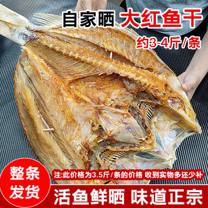 湛江特产大红鱼干3-7斤整条淡晒无添加深海海鱼干咸鱼干海鲜干货