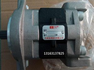 天津岛津液压齿轮泵 油泵SGP1A25F2H9-L288C叉车齿轮泵挖掘机油泵