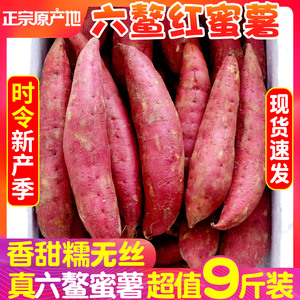 福建六鳌板栗红蜜薯9斤红薯地瓜新鲜山芋糖红心农家自种沙地番薯