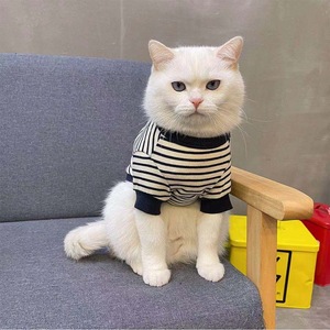 韩国ins猫咪衣服秋装小奶猫可爱布偶猫防掉毛春秋款狗狗猫猫衣服