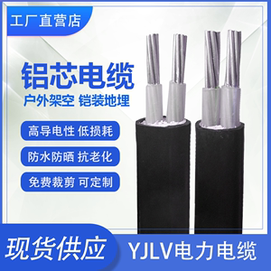 yjlv铝芯电缆两相电缆线防冻2芯10平方户外家用二芯16平方吕电线