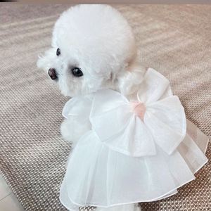 狗狗婚礼衣服西服结婚礼服泰迪博美比熊贵宾公主裙宠物衣服小型犬