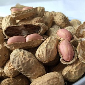 今年湖南农家5斤装包邮生花生带壳 自产农家自种红皮花生种籽带壳