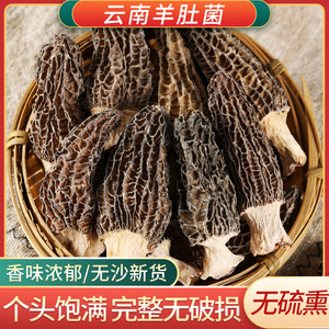 羊肚菌干货食用100g云南特级半野生菌羊肚菇羊蘑菇包邮非500g香菇