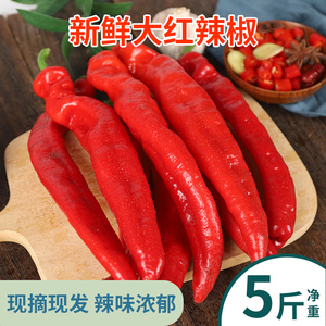 新鲜大红辣椒5斤装辣椒农家自种红辣椒菜椒尖椒蔬菜可做辣椒酱