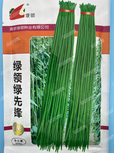 南京绿领种业有限公司 绿领绿先锋豇豆种子 高产商品春秋播种