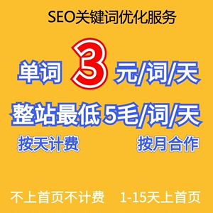 网站首页seo优化整站搜索引擎关键词快速收录优化提权