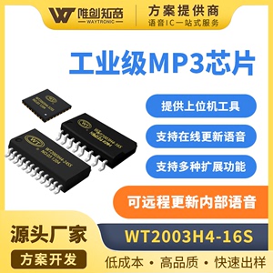 高品质MP3解码录音播放语音芯片ic可驱动LED数码管显示WT2003H