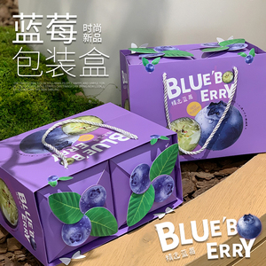 1斤2斤装鲜果蓝莓包装盒礼盒批发高档蓝莓礼品盒空盒水果包装纸箱