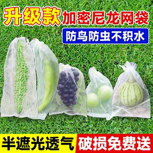 水果套袋防鸟防虫专用网袋葡萄桃子枇杷苹果套袋神器草莓保护袋子
