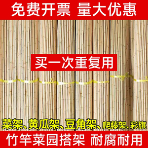 竹竿菜园搭架葡萄架蔬菜爬藤豆角架黄瓜竹杆棍篱笆栅栏防腐细竹子