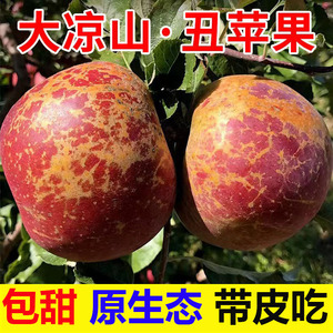 四川大凉山冰糖心丑苹果10斤正宗盐源新鲜红富士苹果水果脆甜当季