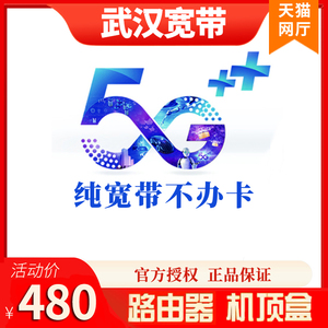 武汉移动联通电信宽带电视机顶盒光纤光猫办理安装非长城广电网络