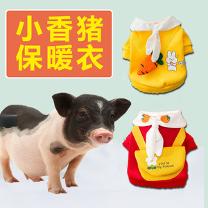 小香猪衣服保暖秋冬季专用宠物猪穿的衣服可爱泰国迷你猪生活用品