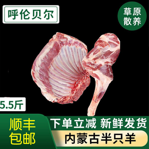 内蒙古 羔羊肉组合5.5斤整扇羊排+羊腿 新鲜羊排骨羊腿肉烧烤食材
