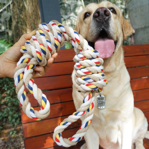 宠物玩具耐咬绳结互动磨牙棒小中大型犬狗狗咬胶金毛大狗洁齿玩具