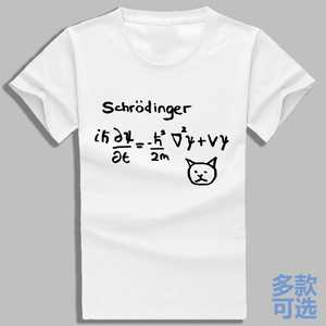 物理量子力学薛定谔方程猫公式极客打底全纯棉短袖t恤衫半袖衣服