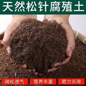 松叶土天然松针腐殖兰花多肉营养养花专用种菜壤通用型腐叶种植