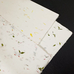 四尺云龙皮纸书法国画创作装饰包装用半生熟茶叶花草宣纸六尺整张