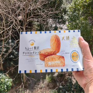 日本大阪城限定 永井园出品 新鲜奶酪巧克力夹心派布朗尼饼干 6枚