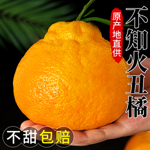 四川不知火丑橘10斤水果新鲜当季整箱耙耙橘子丑八怪桔子丑柑粑粑