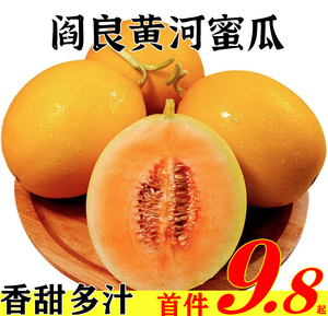 陕西阎良黄河甜瓜带箱10斤新鲜当季水果香瓜时令哈密瓜蜜瓜中大果