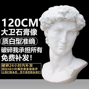 1.2米大卫头美术教具素描大卫石膏像头像大大号美术教具人头雕塑