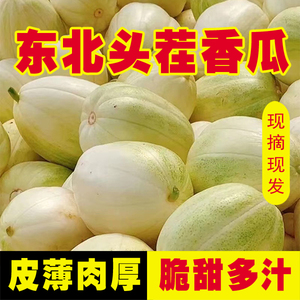 东北特产大地香瓜新鲜应季水果现摘农家特产白糖罐小甜瓜5斤包邮