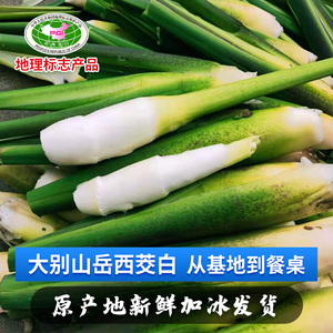 2024农家安徽高山冷水新鲜茭白农家时令蔬菜高笋孕妇茭瓜月子下奶