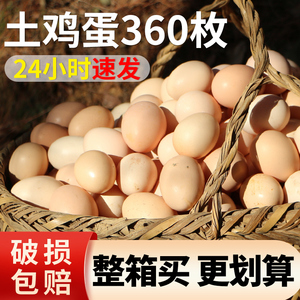 鸡蛋土鸡蛋新鲜正宗农家散养草笨绿壳乌鸡蛋初生蛋批发整箱360枚