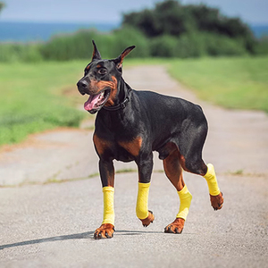 宠物运动护膝护套防舔防脏狗狗户外腿套保护袜套魏玛中大型犬护腿