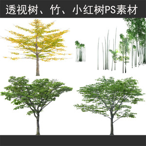 透视树竹子小红树园林景观效果图植物PS后期photoshop分层素材