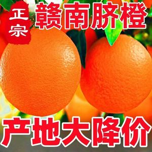 【10斤特价】正宗赣南脐橙新鲜橙子江西甜橙孕妇纽荷尔水果半斤5