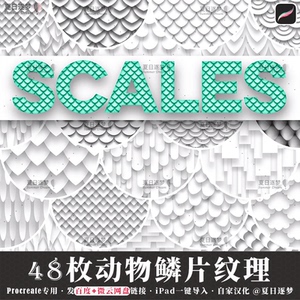 龙鳞笔刷 淘宝拼多多热销龙鳞笔刷货源拿货 阿里巴巴货源