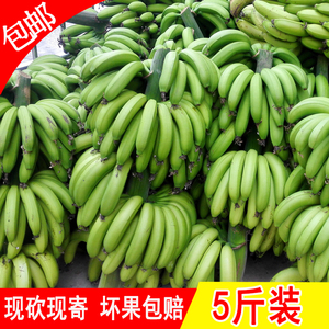 包邮香蕉banana广东高州新鲜水果无催熟剂非米蕉粉蕉海南芭蕉5斤