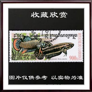 收藏-柬埔寨邮票 2000年 观赏鱼类 英贝利斯斗鱼 信销 Y090