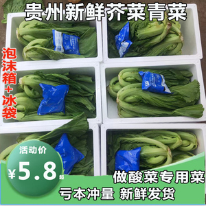 贵州青菜新鲜大叶芥菜新鲜宽帮泡青菜无筋芥菜可腌制酸菜新鲜蔬菜