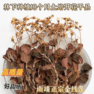 福建南靖林下种植18个月金线莲开花整株干品精选50克/100克礼盒装