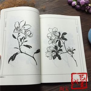 中国画线描四季花卉画谱 线描白描底稿技法国画工笔画百花画谱