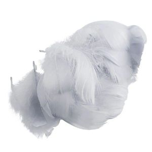 100pcs Colorful-Feathers for Bobo-Balloon Transparent