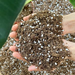 营养土种植土花土多肉热植专用进口泥炭土花肥营家用通用型有机土