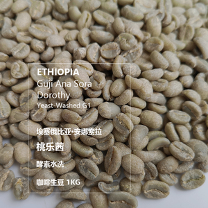 咖啡生豆 埃塞俄比亚Ethiopia安娜索拉桃乐茜Dorothy酵素水洗 1kg