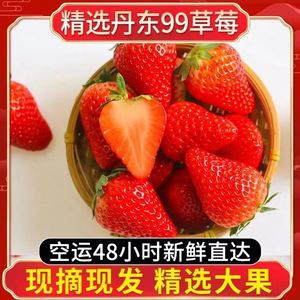 正宗辽宁丹东99草莓5斤装strawberry高端礼盒新鲜水果大红颜直发