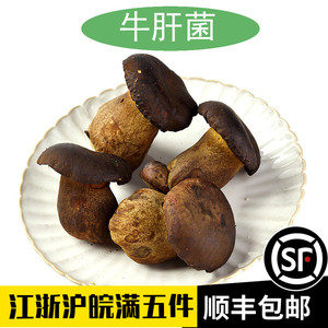 新鲜黑牛肝菌500g非干货食用Porcini菌菇云南特产西餐煲汤农产品