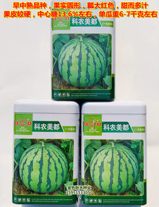 科农美都西瓜种子杂交高产甜度高大田水果蔬菜种籽8424冰糖麒麟瓜